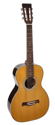 Richwood Master Series A-7012-VA 12-String
